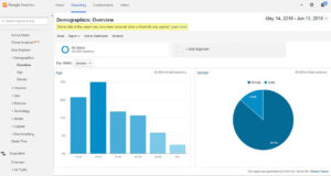 client demographics